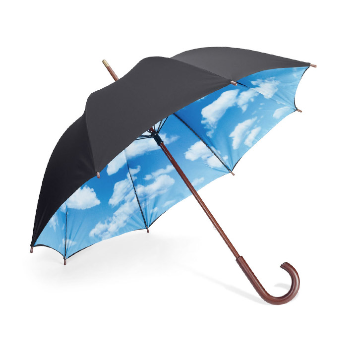 EFMabout_0007_Umbrella